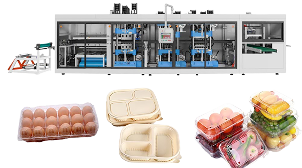 Disposable Plastic Egg Carton Thermoforming Machine